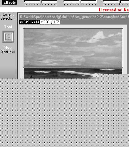 Selection Rectangle around the "sky" using the "Select-paint" tool